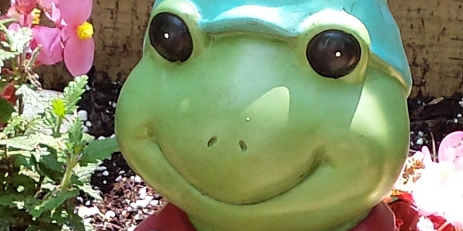CarolTidd's profile banner image