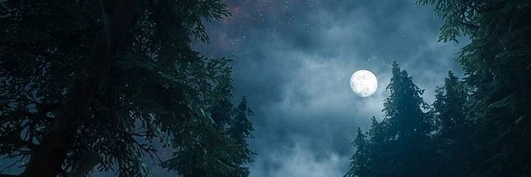 lic_lykeios's profile banner image