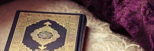 mttaqi's profile banner image
