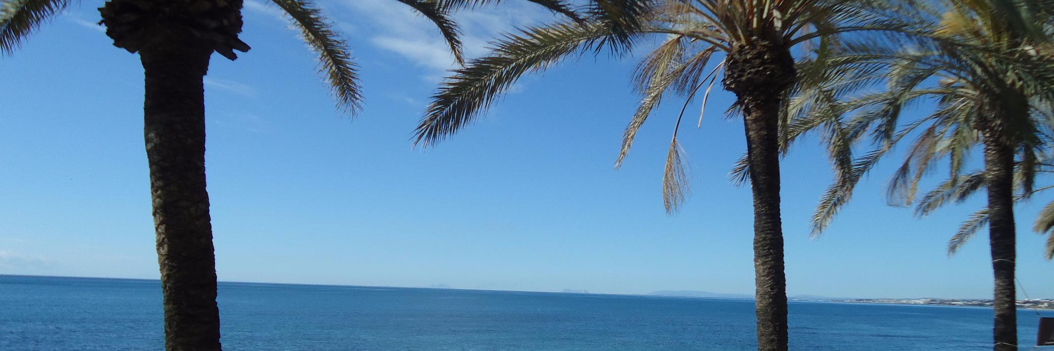 CaraCoco1961's profile banner image