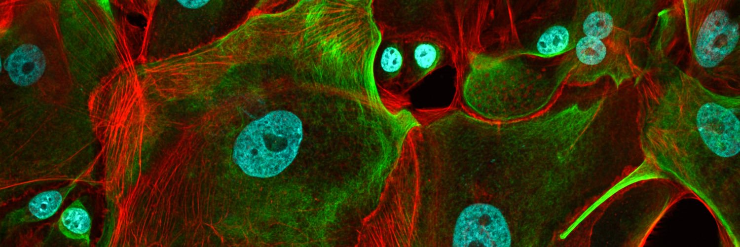 Aus_Scientist's profile banner image