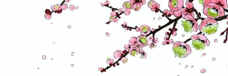 mfstory's profile banner image