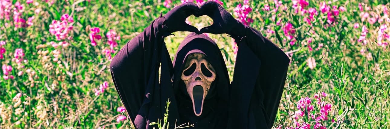 palomonzo's profile banner image