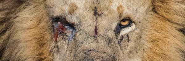 big4kirko Profile Banner