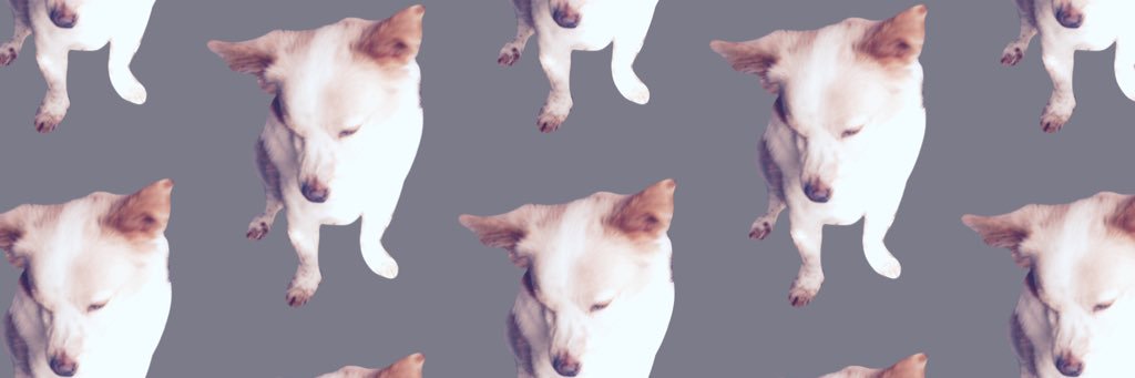 ben_kkw's profile banner image