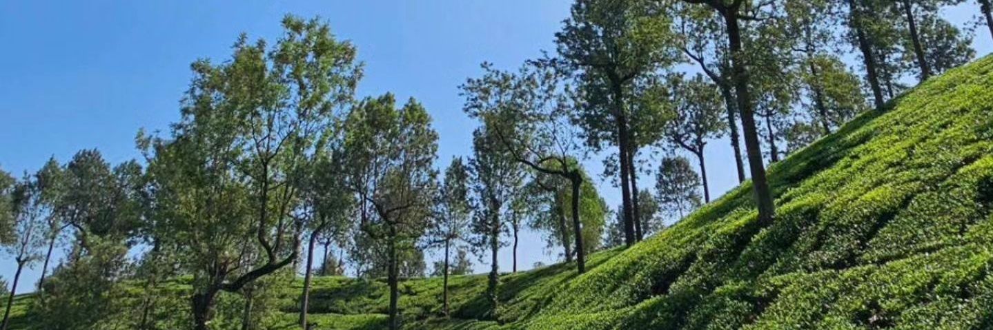 Utkarsh_singhan's profile banner image