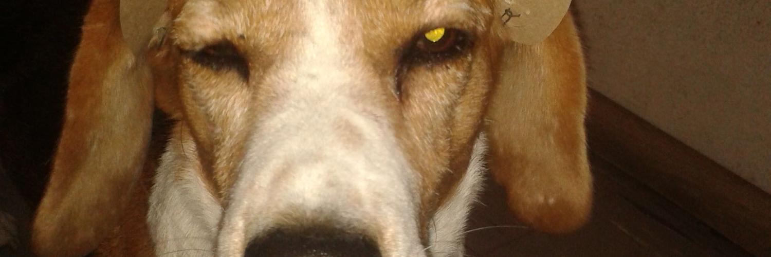 claubillo's profile banner image