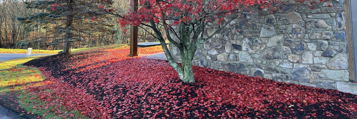 Dmitriy Sheyn banner