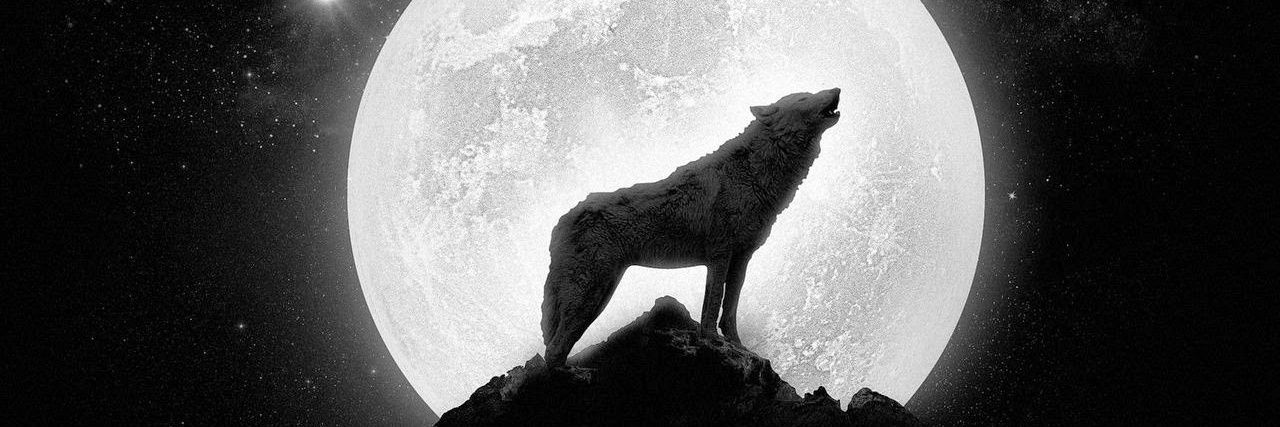 Leosfc85's profile banner image