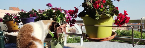 gemarvi Profile Banner