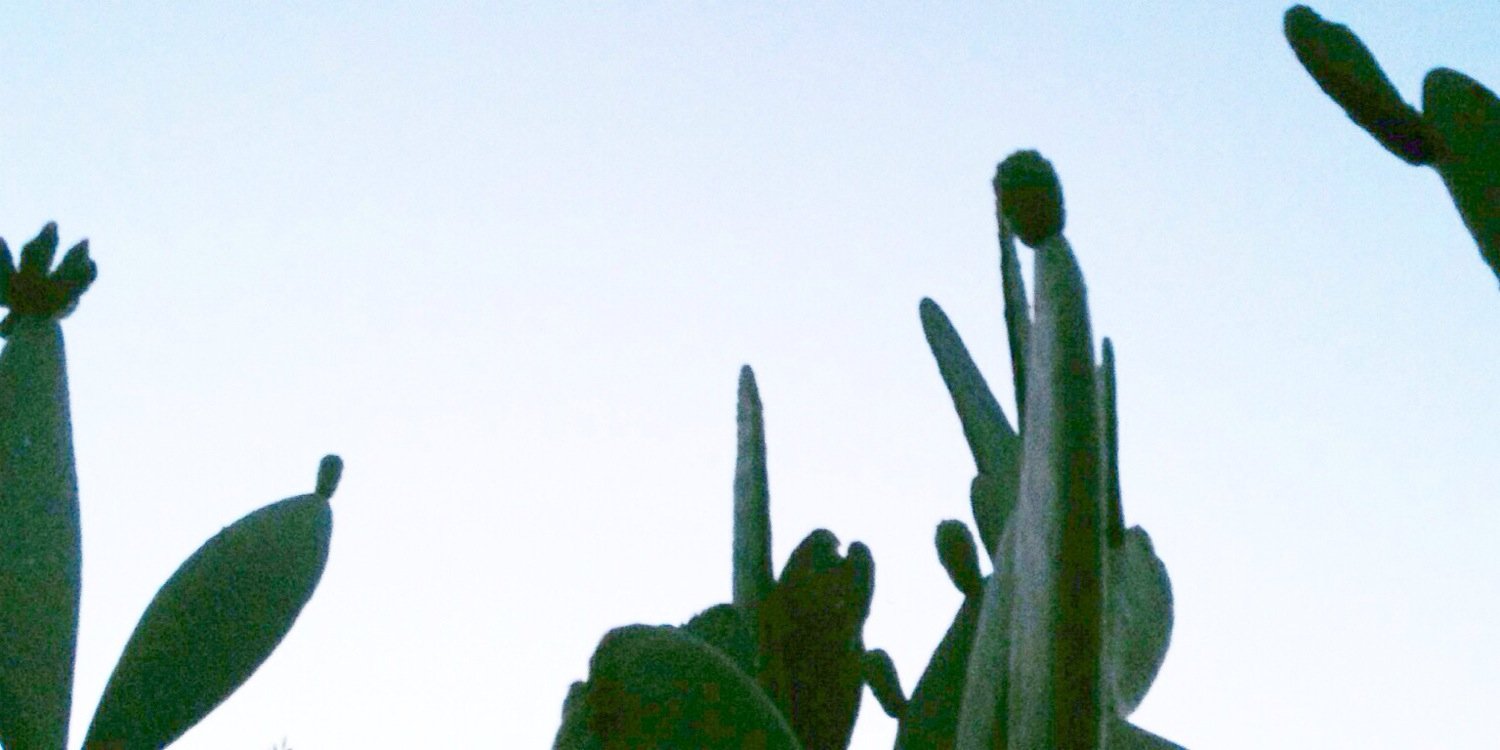 allisonmklein's profile banner image