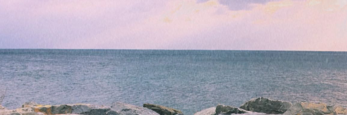 ffzehrakaplan's profile banner image