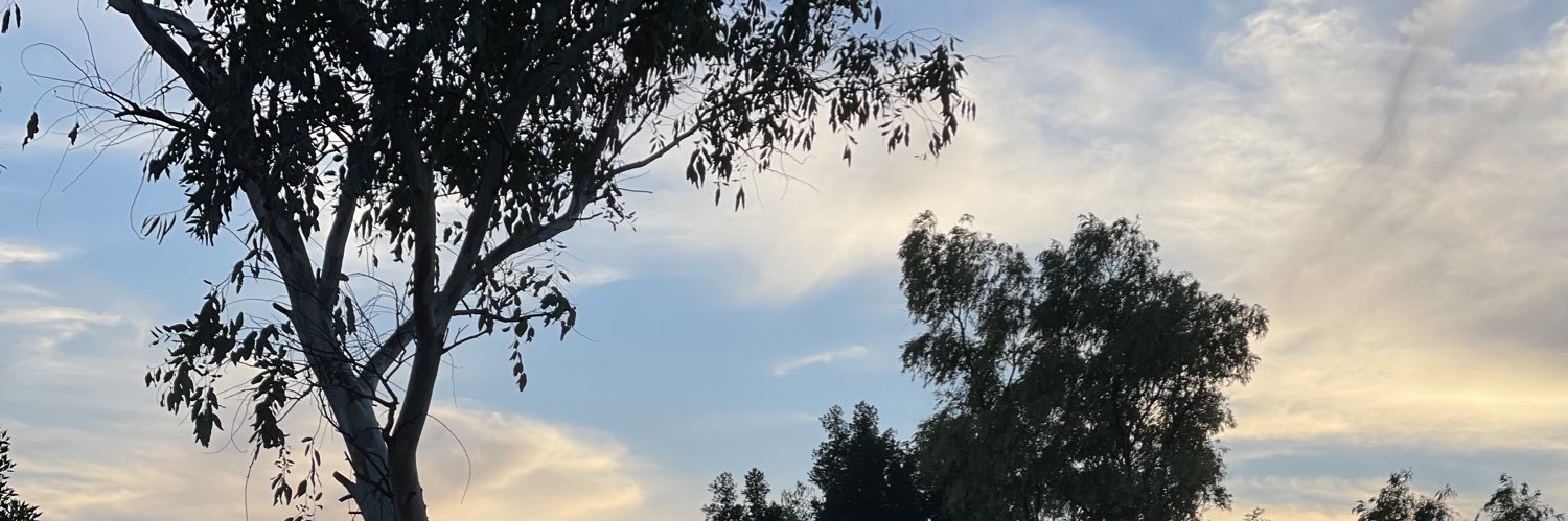 MB_ALMASAD's profile banner image