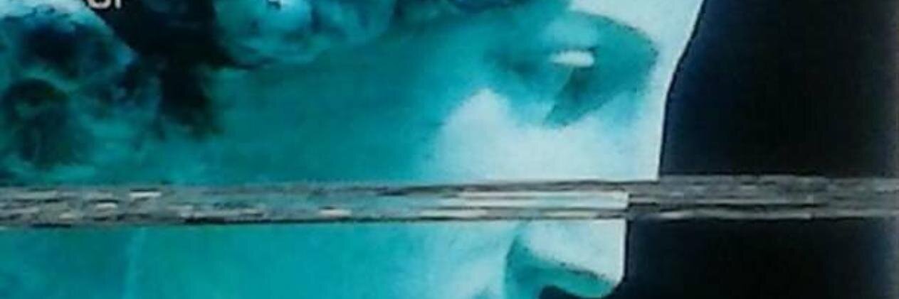 DABBO banner