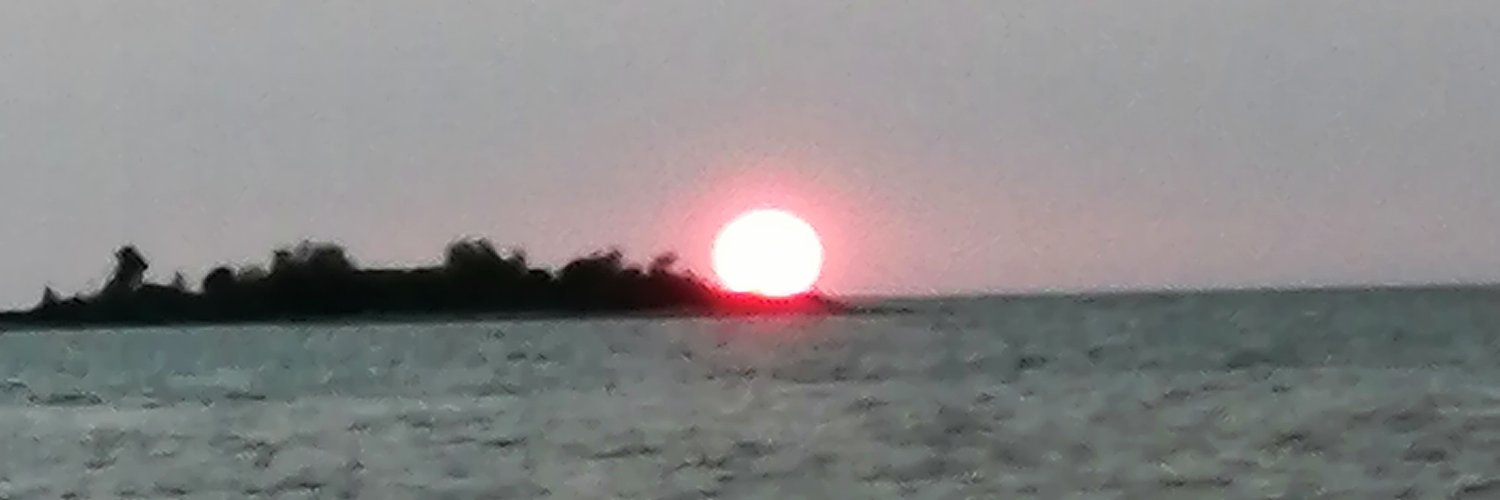 shichimom's profile banner image