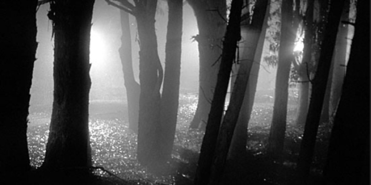 RulerOfContour's profile banner image