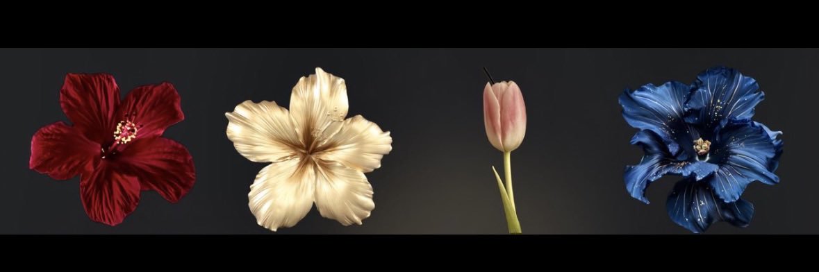 Bintwo6's profile banner image
