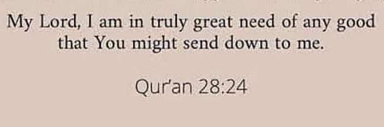 Captain Samoosa banner