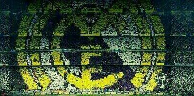 molidnv14's profile banner image