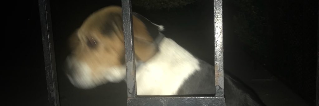 mrnash's profile banner image