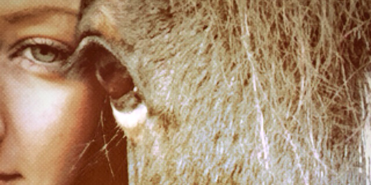 LoreenvDijk's profile banner image