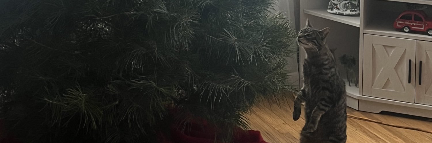 HannahHschroth's profile banner image