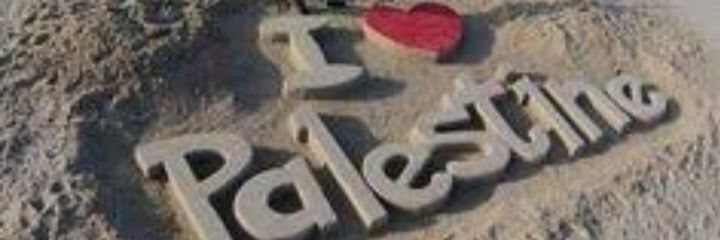 noblemago's profile banner image