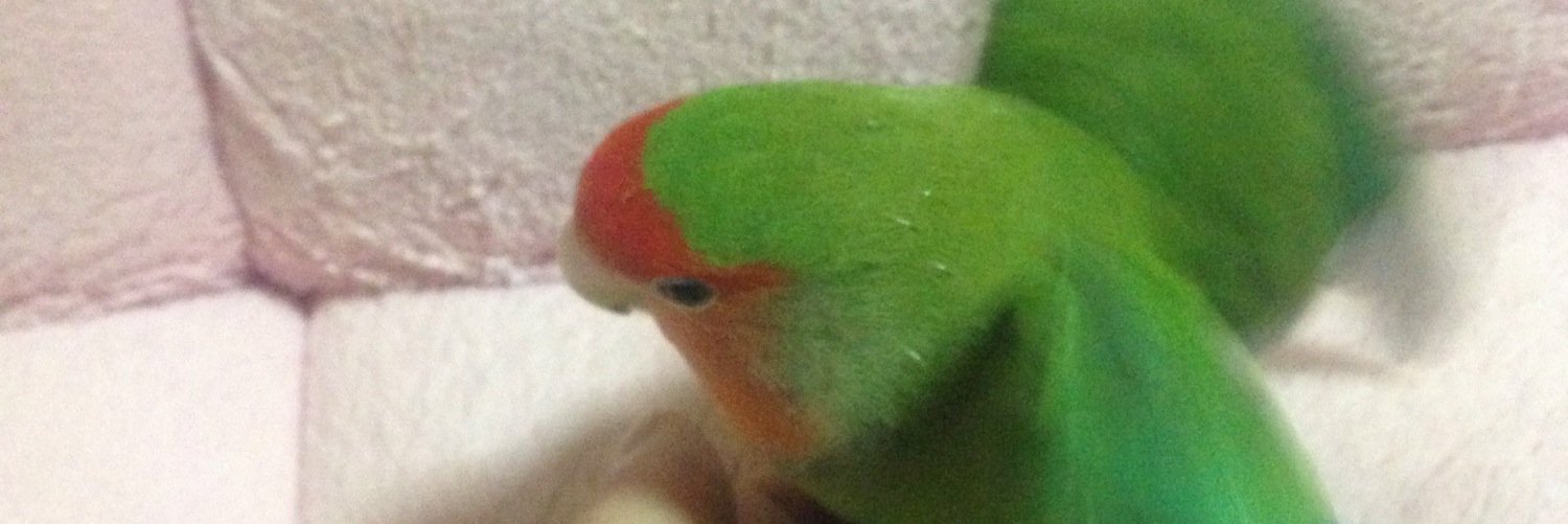 TOKUPUN's profile banner image