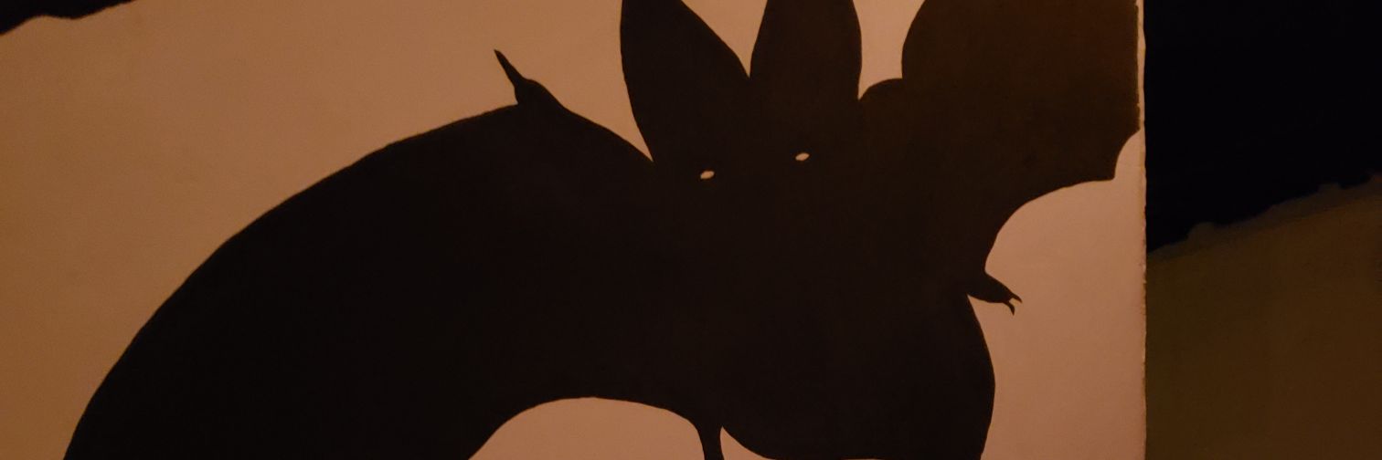 santsick's profile banner image