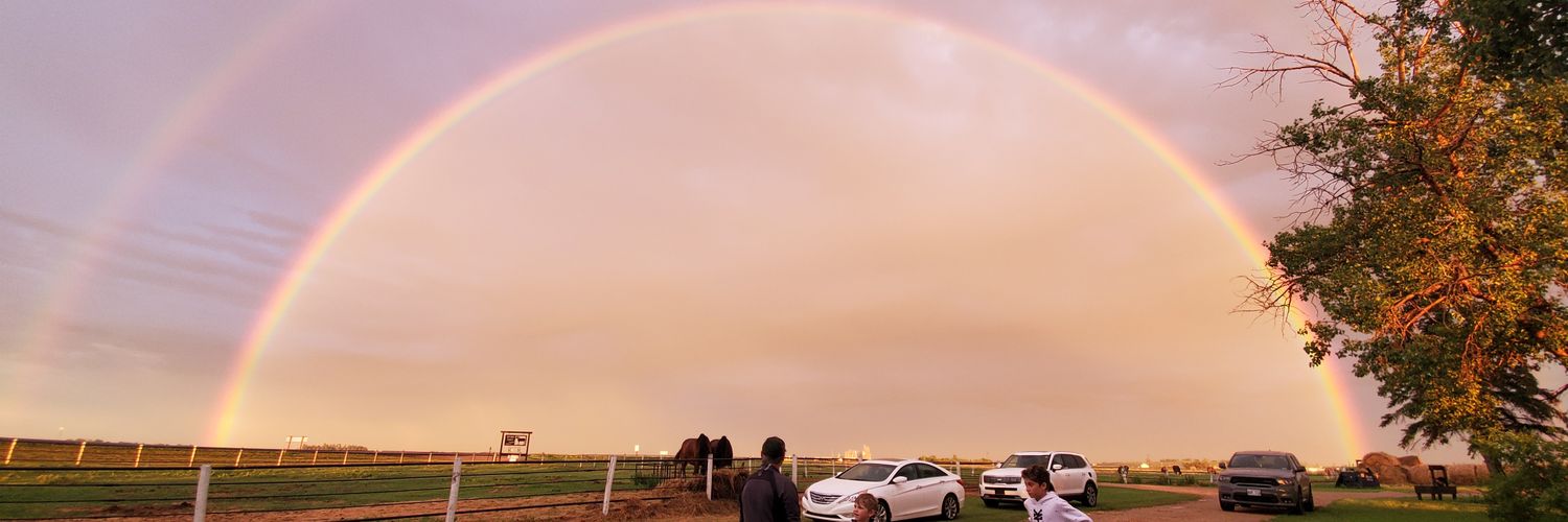 RySellar's profile banner image