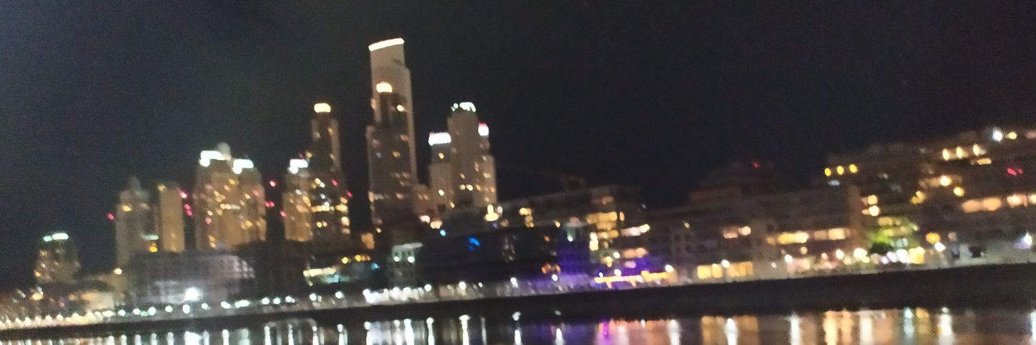 LPetruzza's profile banner image