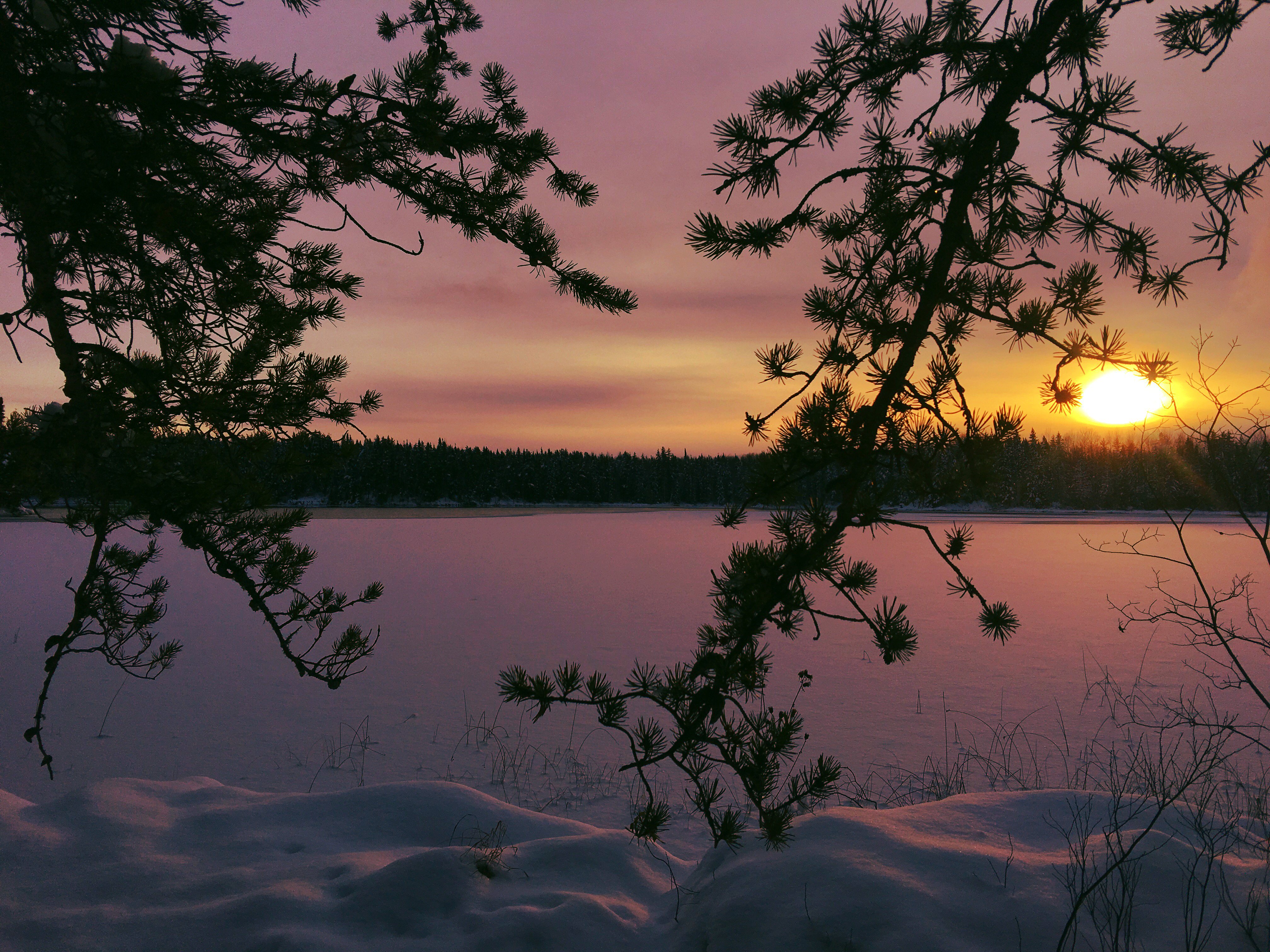 blevesque95's profile banner image