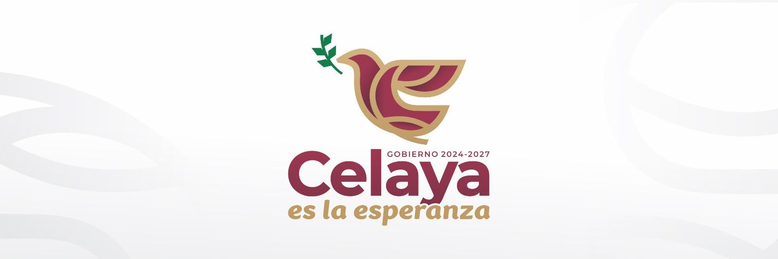 DIFcelaya's profile banner image