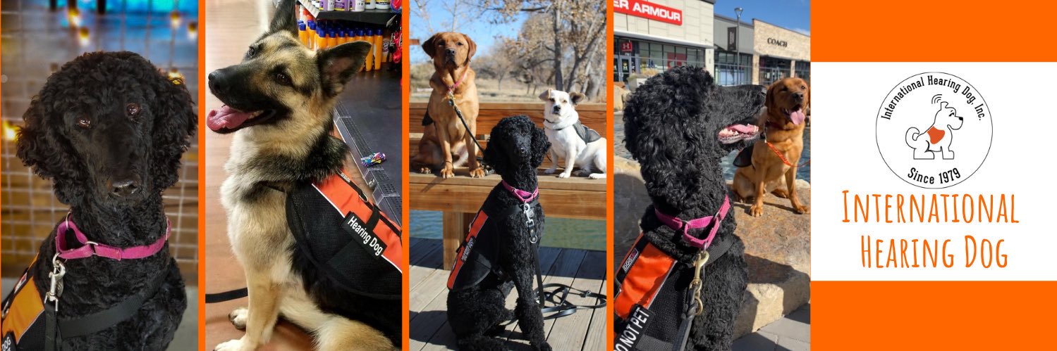 IntlHearingDog's profile banner image