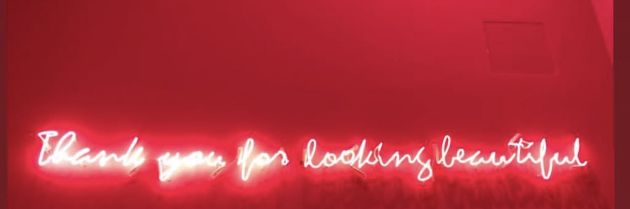 elizapintoj's profile banner image