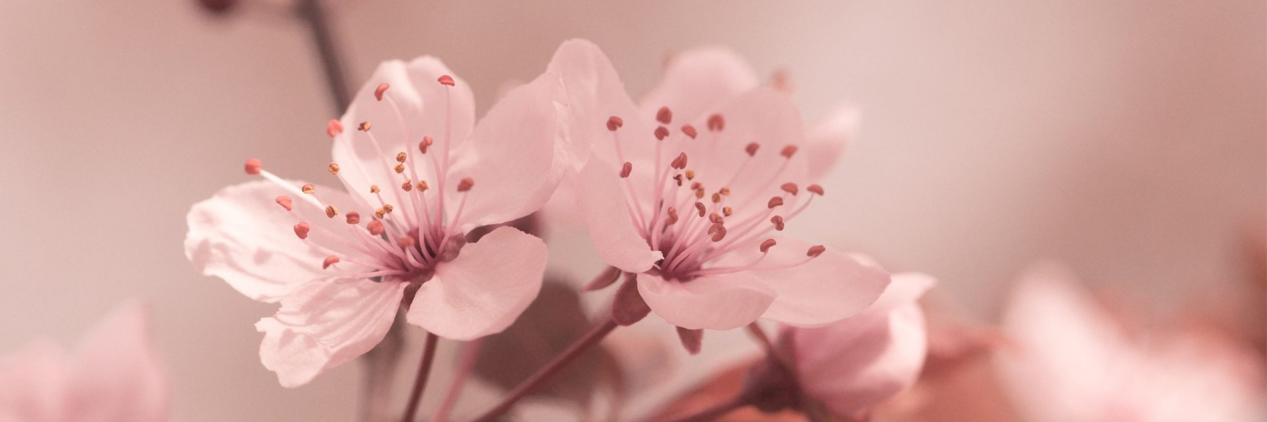 miss_yune's profile banner image