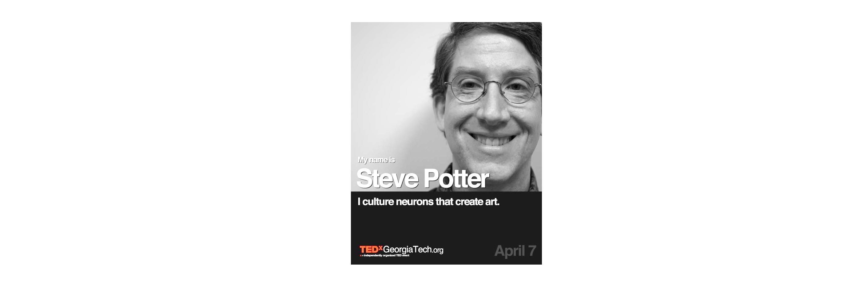 Steve M. Potter banner