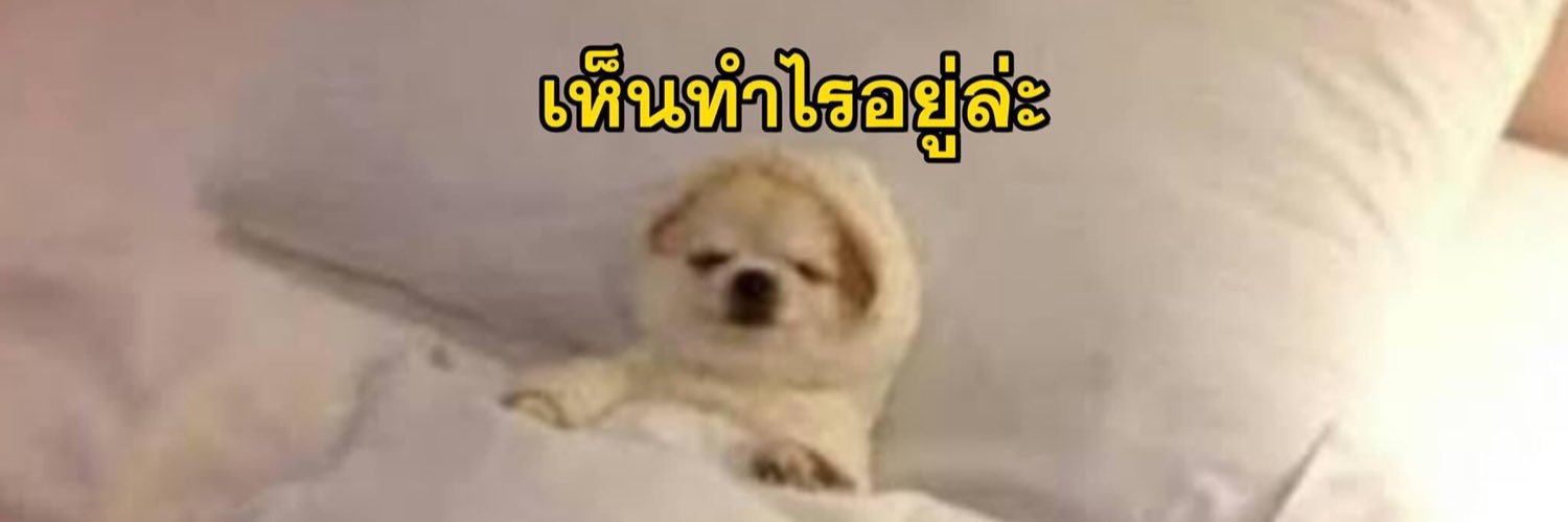 Parklher_'s profile banner image