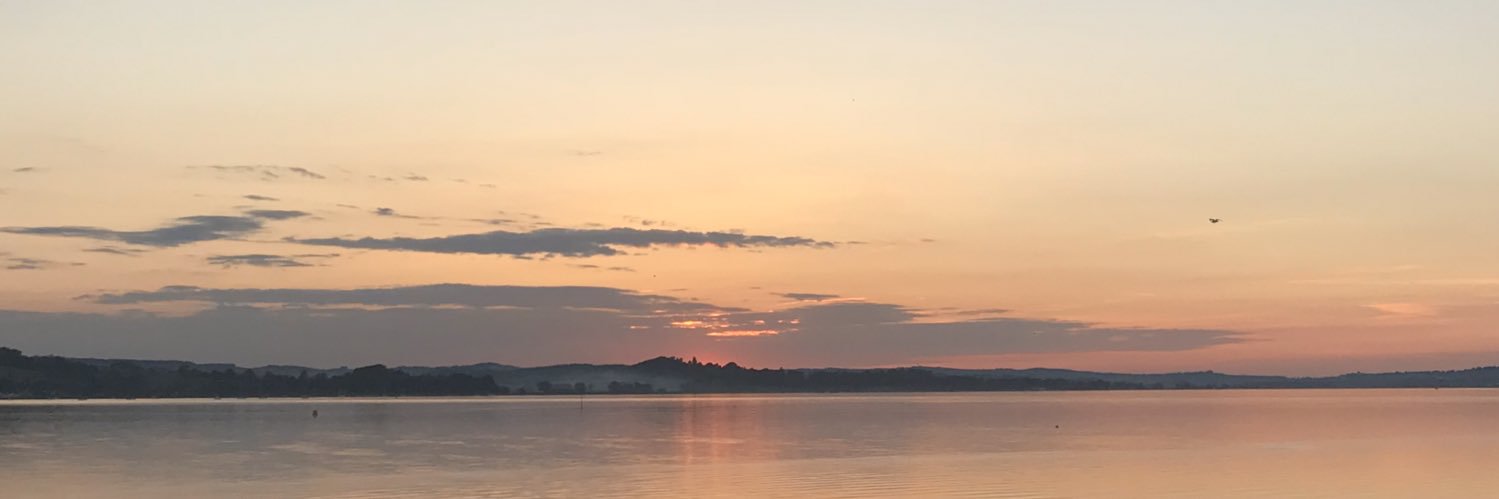 ollienmassey's profile banner image