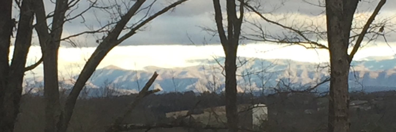 volbud1's profile banner image