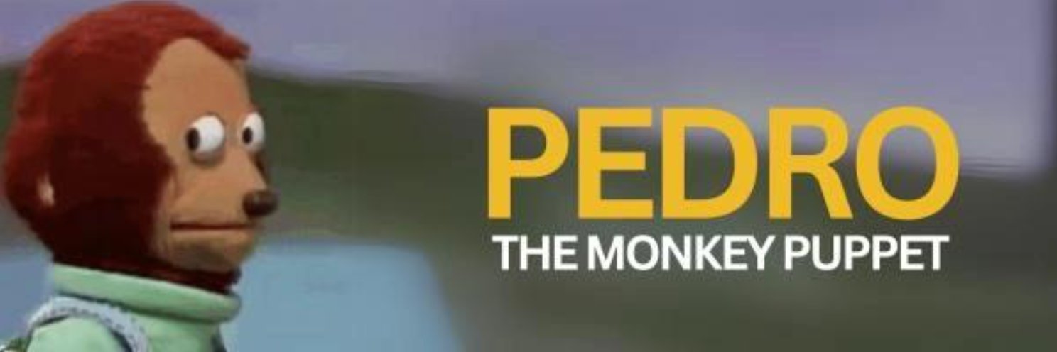 $pedro banner