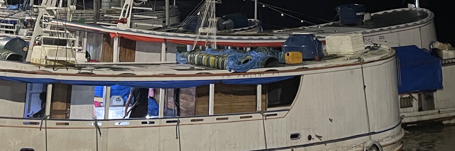 Andreia E.Santo banner