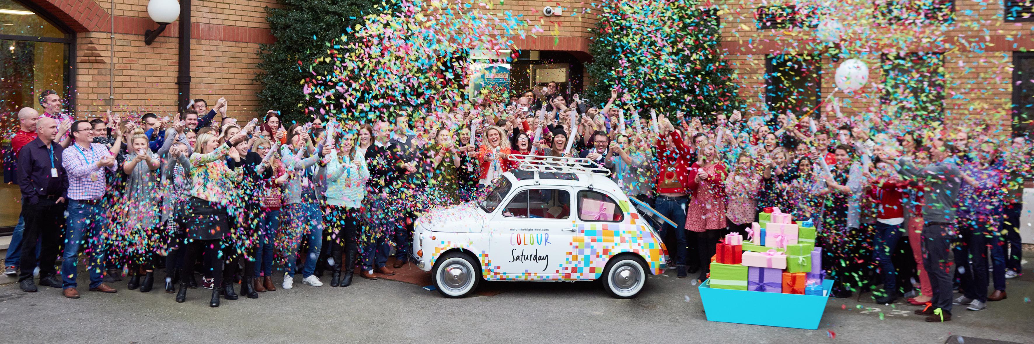 Bearded Kitten banner