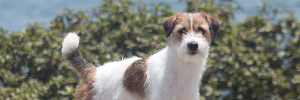 jdverschuur's profile banner image