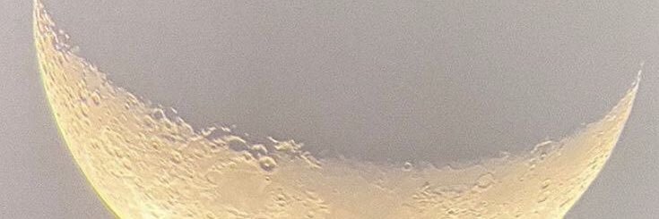 lana banner