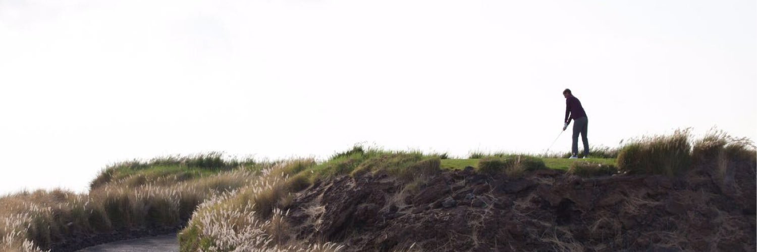 Nicolas Colsaerts banner