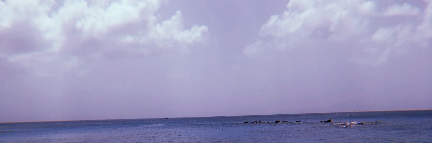 EliseLBailey7's profile banner image