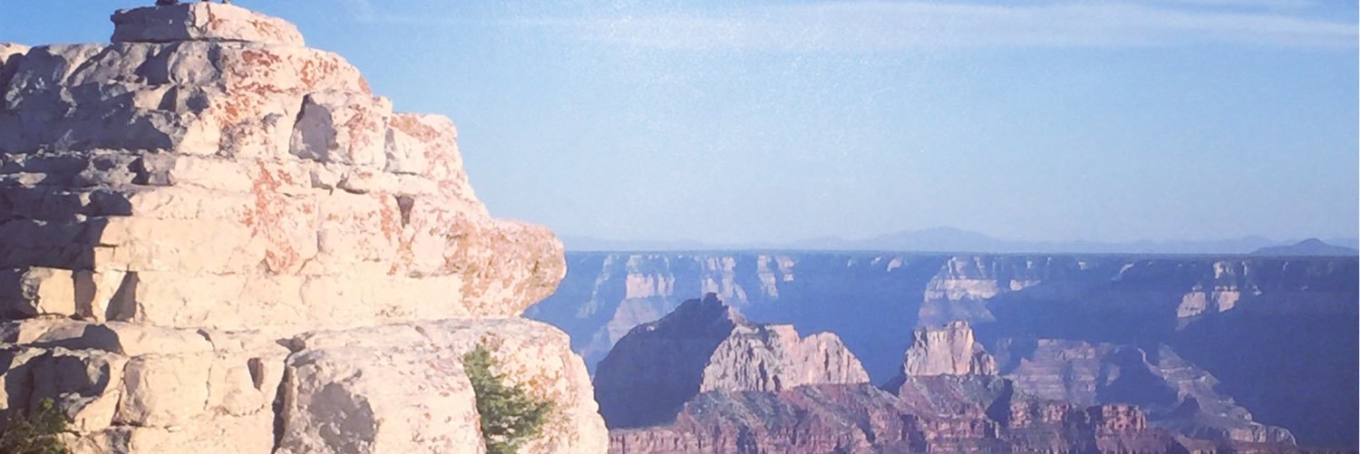 AmbChiv's profile banner image