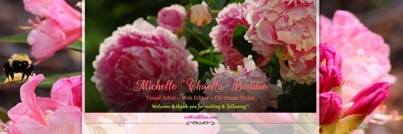 BoddieMichelle's profile banner image