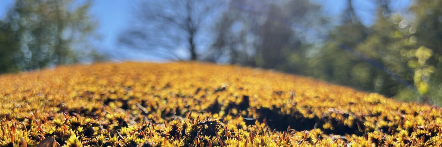 Andreas Schober MD banner